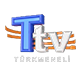 Türkmeneli TV